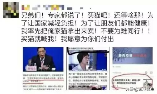 紧急求助！武汉封城但这些猫却被人留在了家中