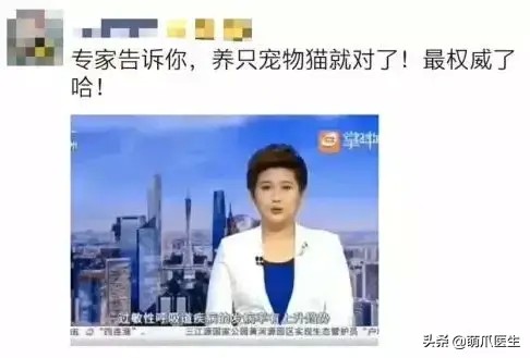 紧急求助！武汉封城但这些猫却被人留在了家中