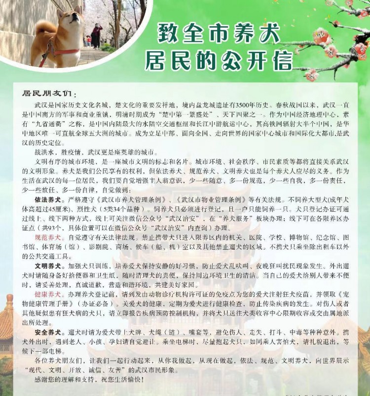 武汉养狗新规：禁止在限制区域饲养大型凶猛犬，高度不超过45厘米